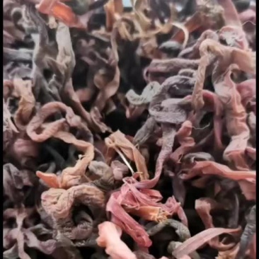 薇菜