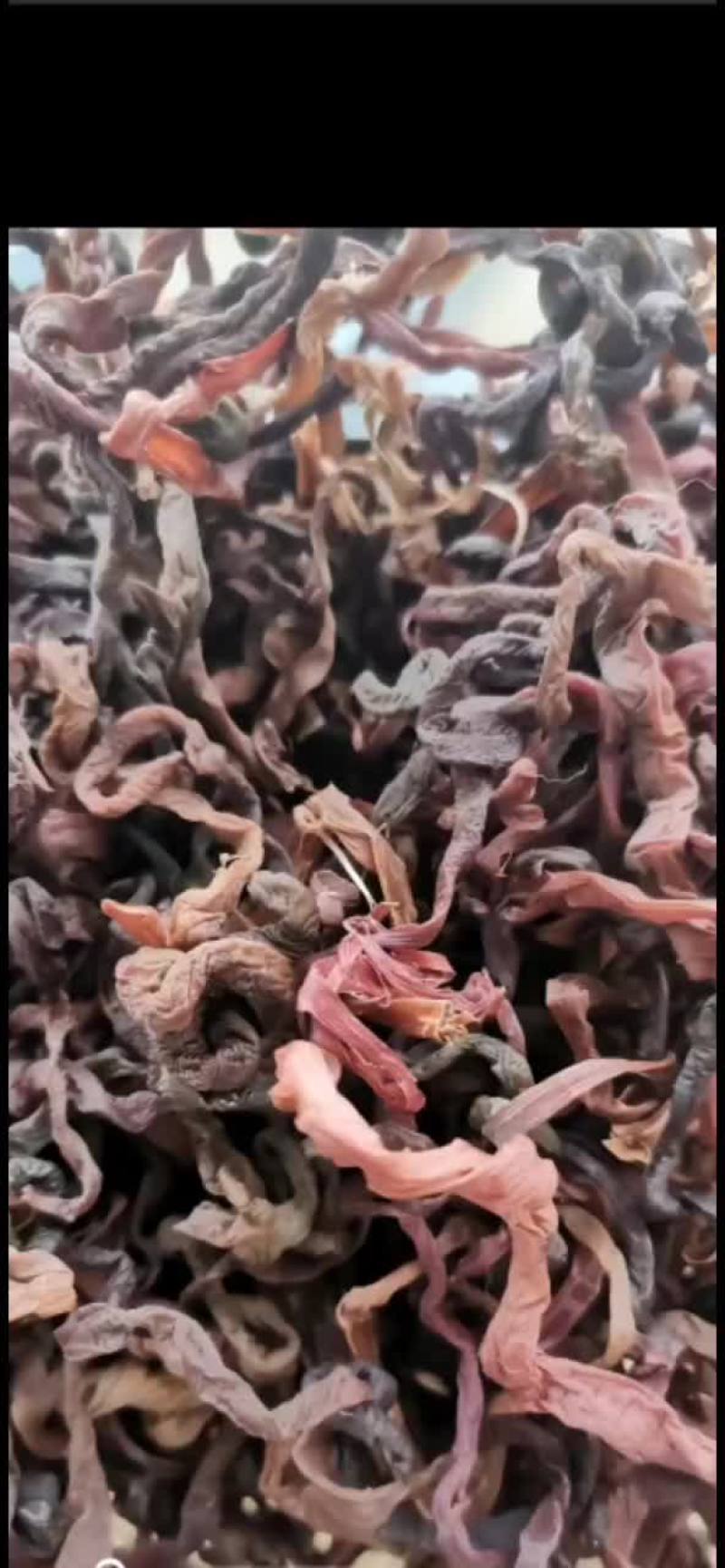 薇菜