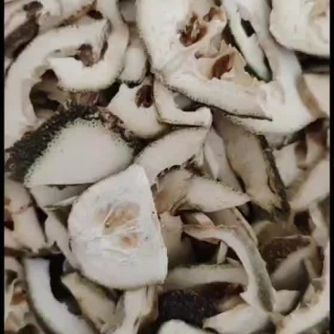 织壳