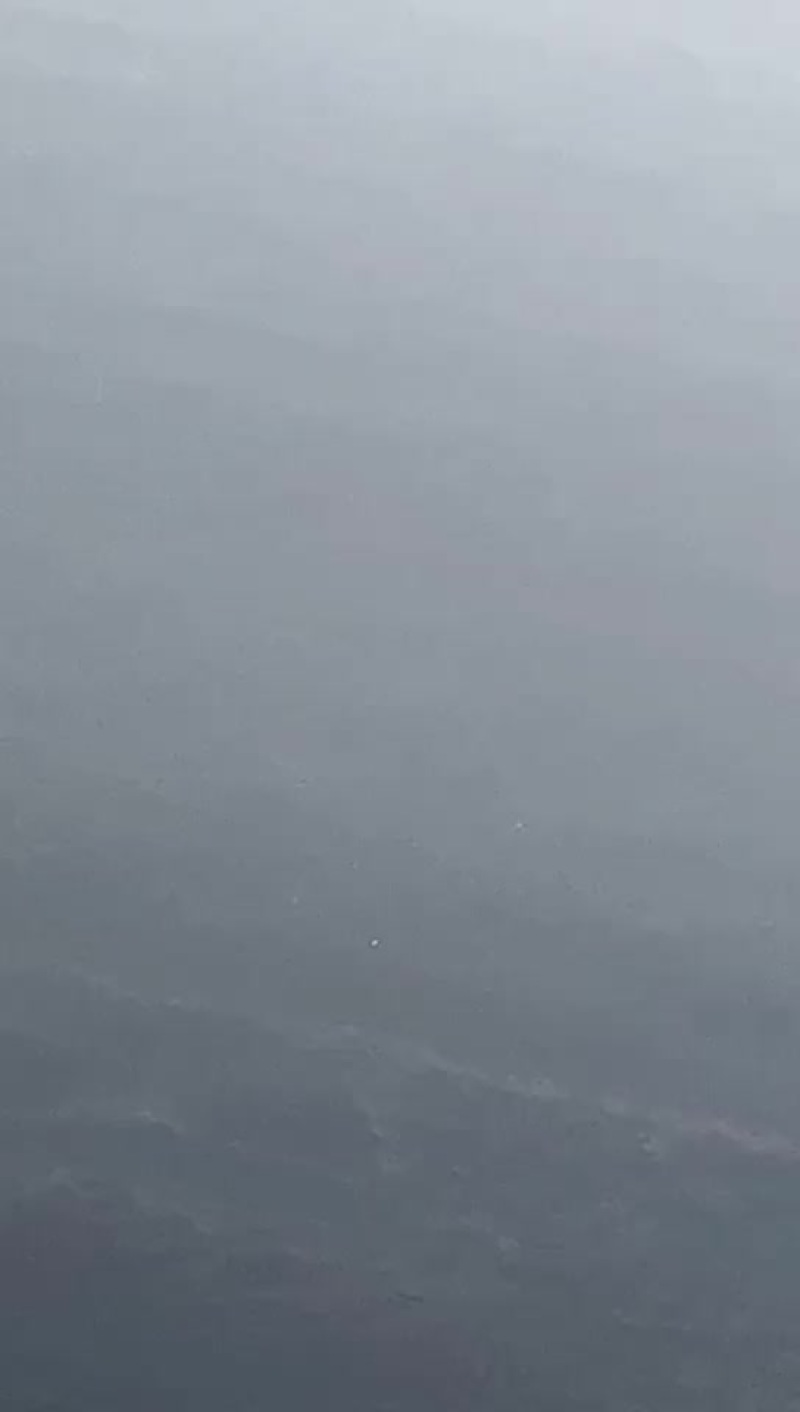 淡水轮虫