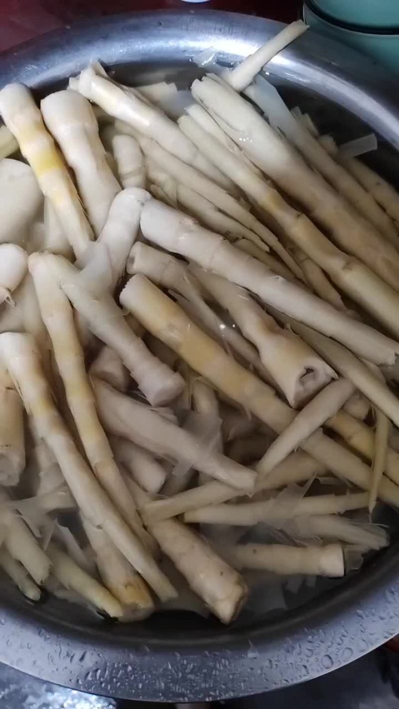 野生小竹笋