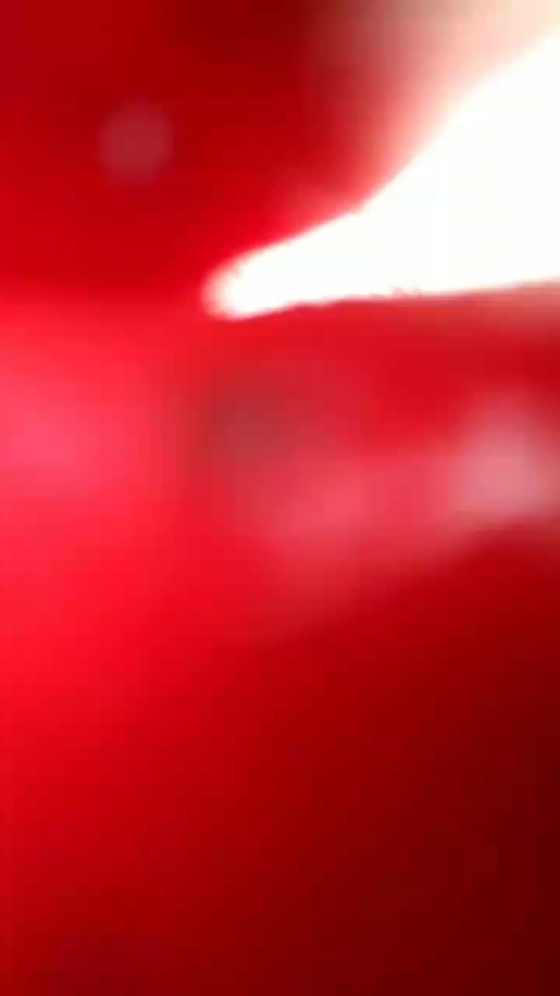 鲫鱼