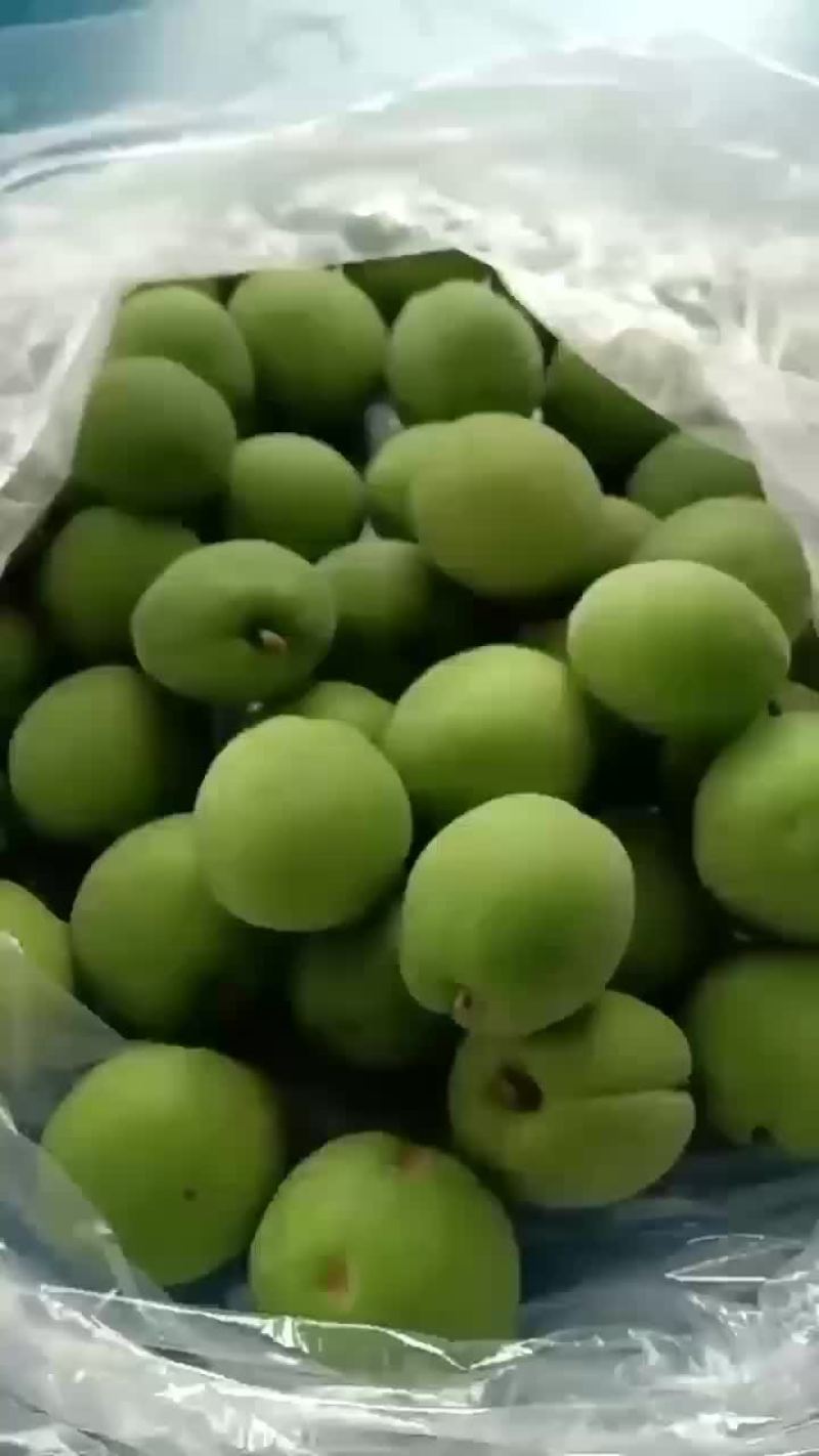 大量青梅