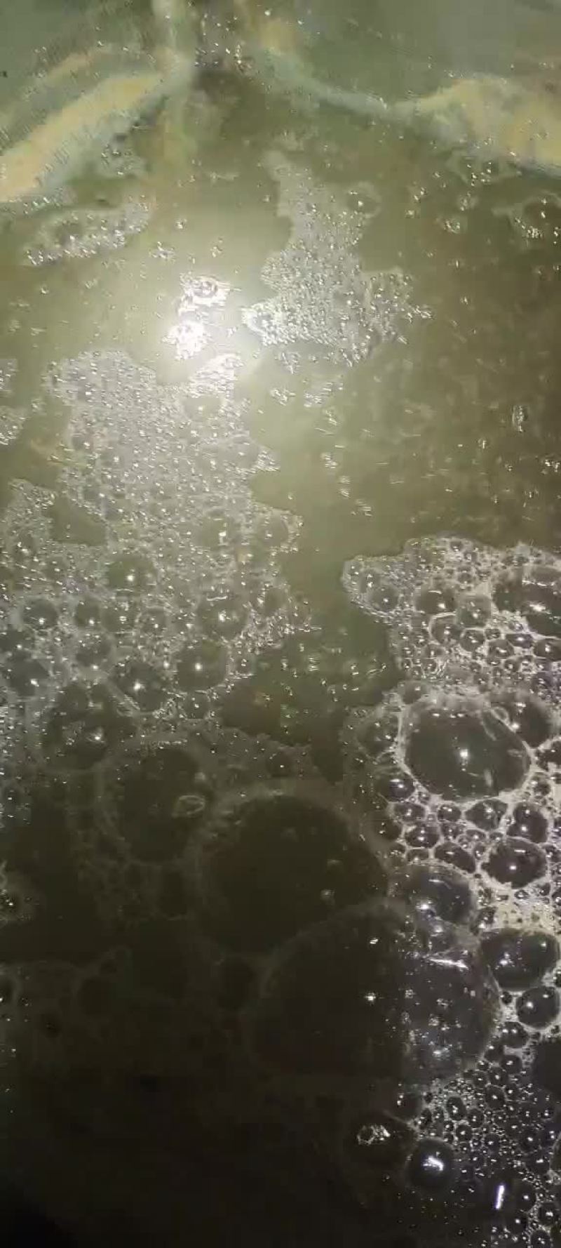 河虾