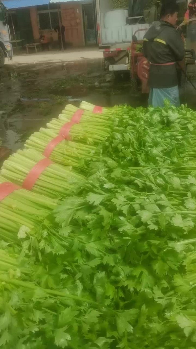 小西芹