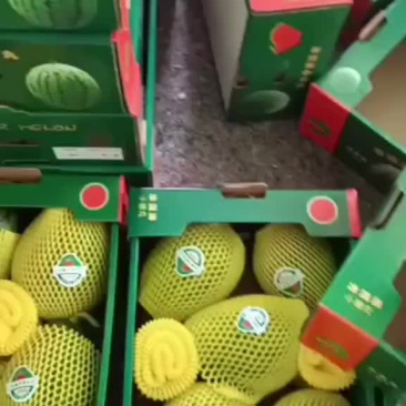 2k西瓜大量上市