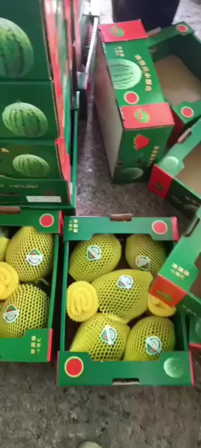 2k西瓜大量上市