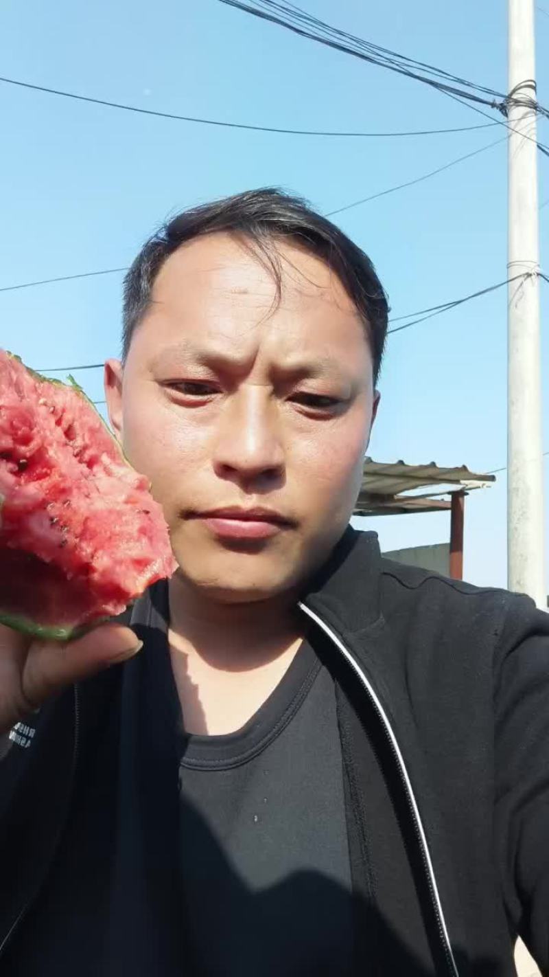 礼品小西瓜