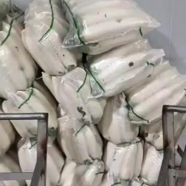 白萝卜