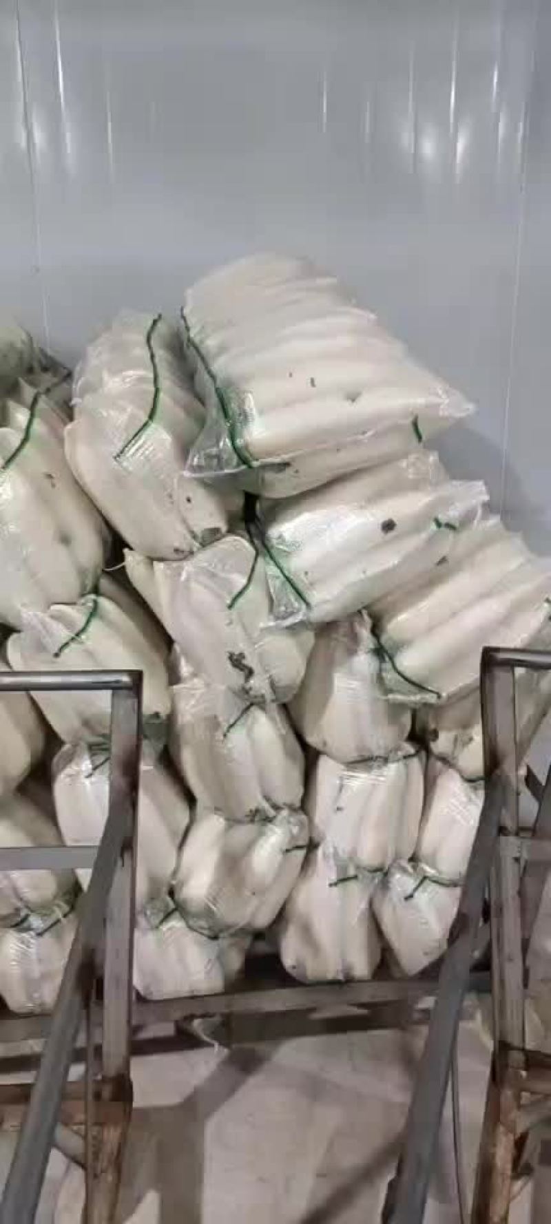白萝卜