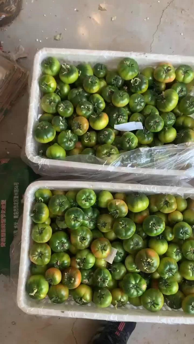 正宗草莓西红柿好吃不贵！！