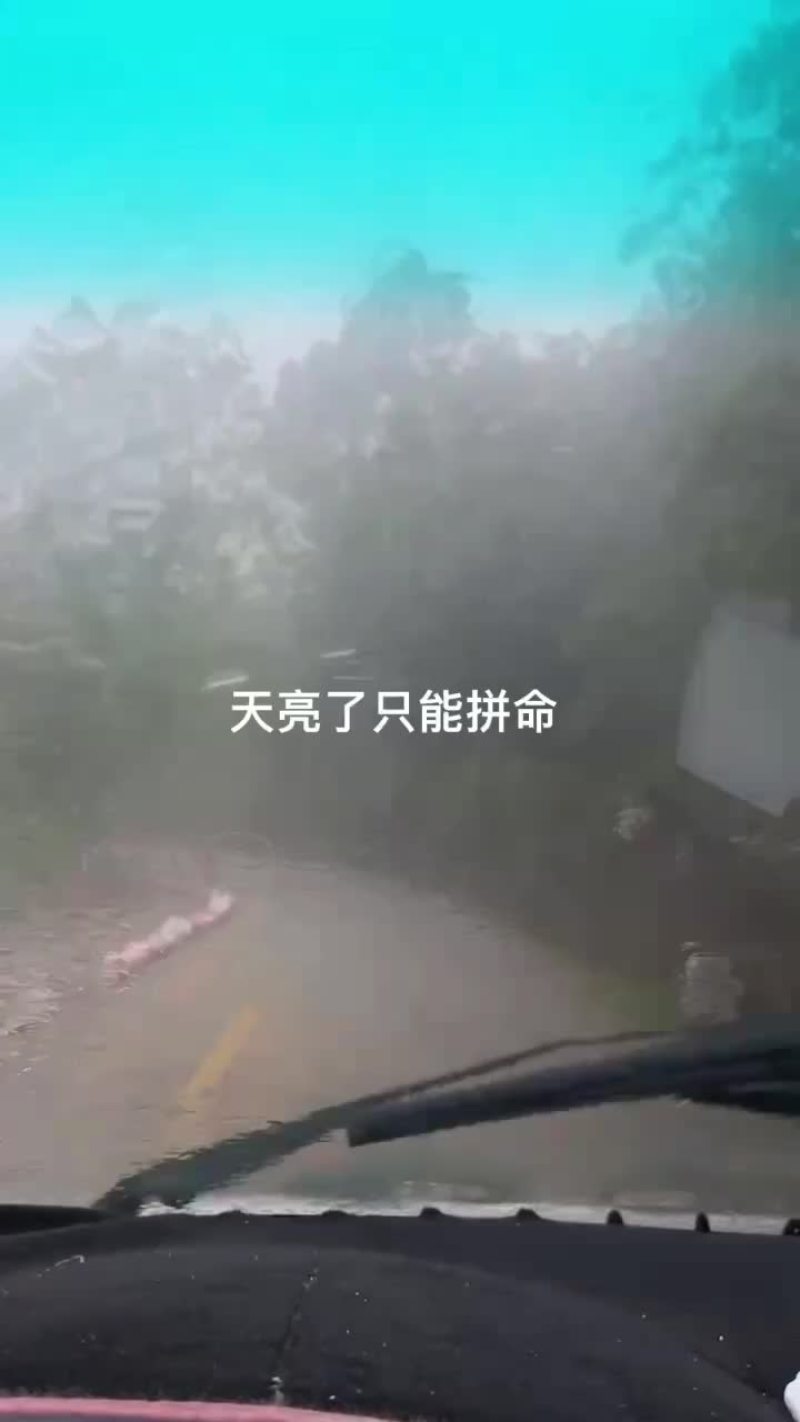 三月李