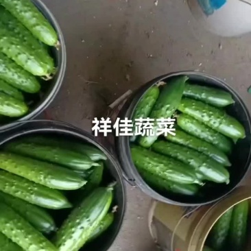 寿光本地发货大量现货供应