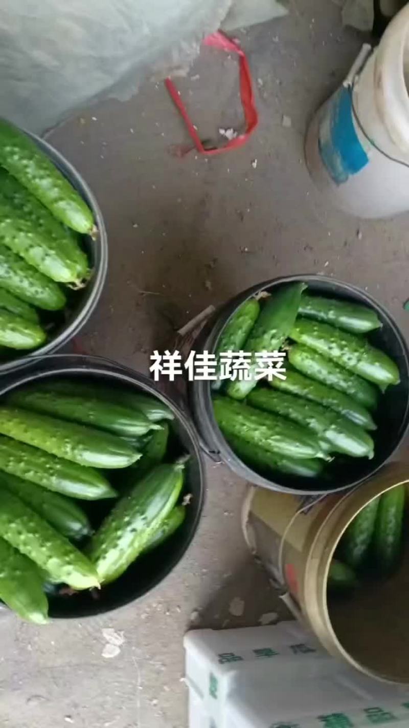 寿光本地发货大量现货供应