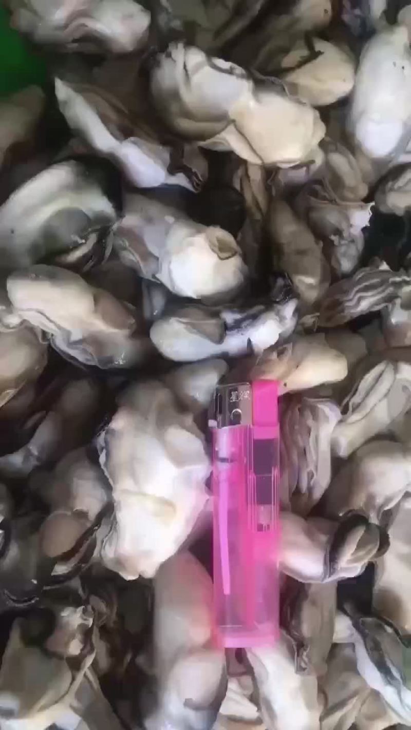 海蛎熟肉加工麻辣海鲜看过来