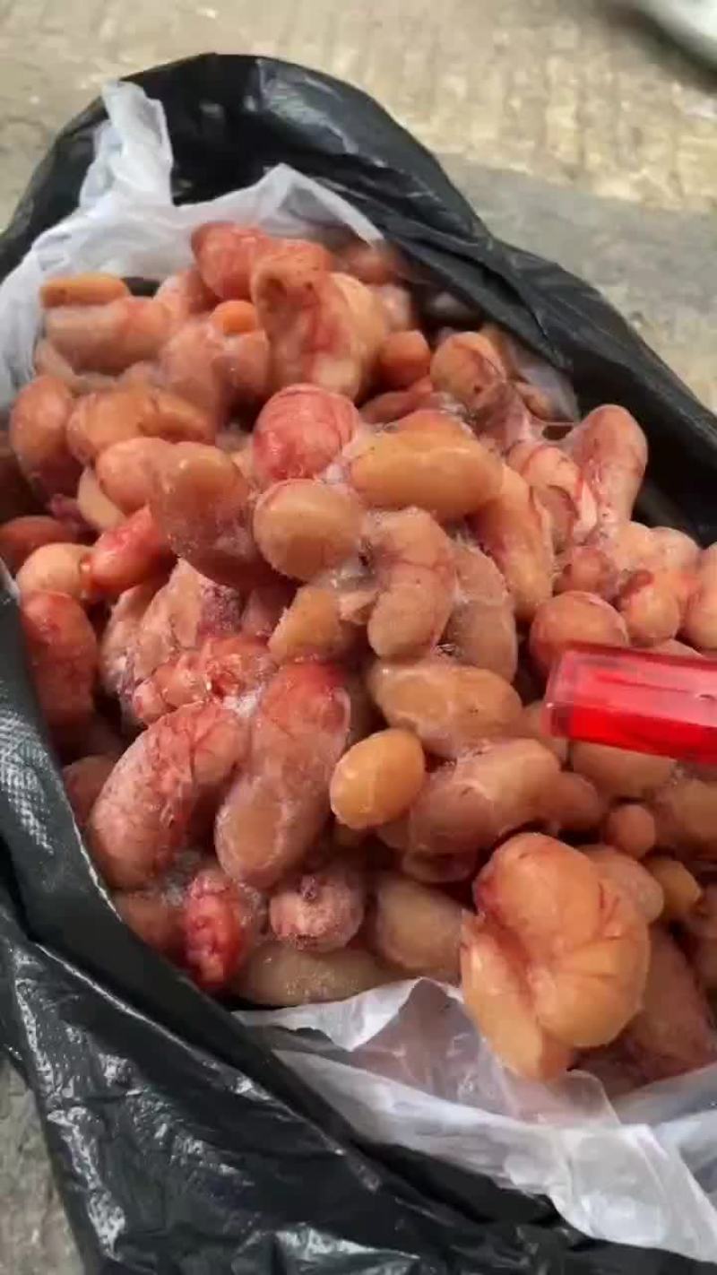 鸡腰子