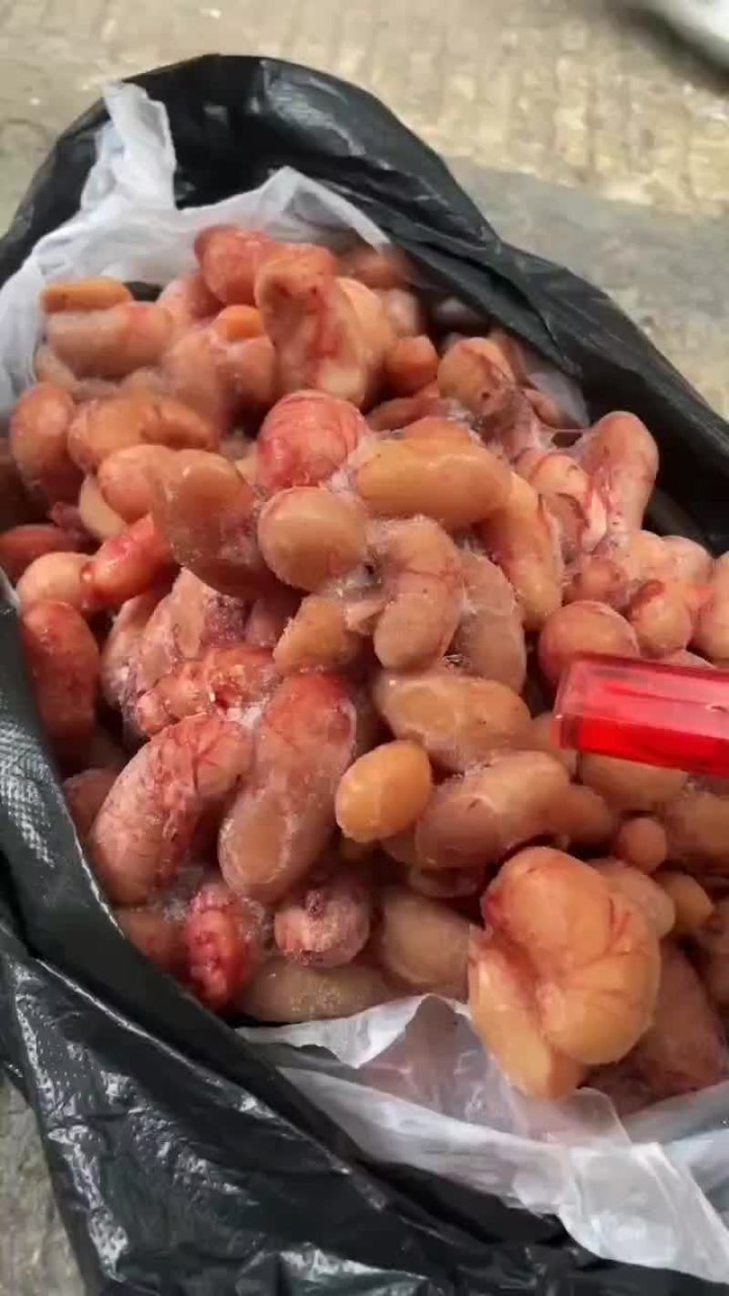 鸡腰子