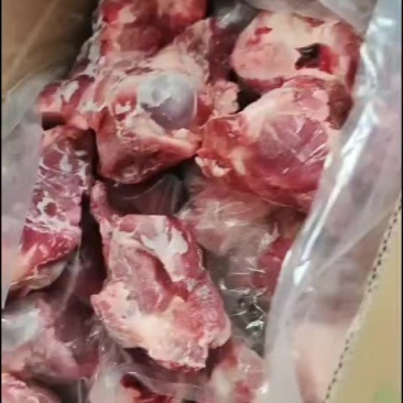 多肉大棒骨