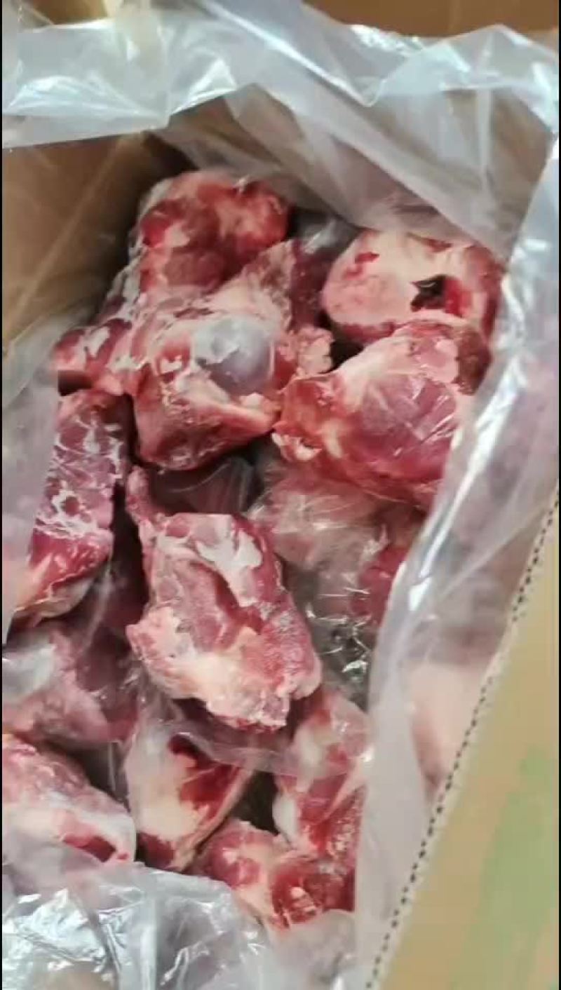多肉大棒骨