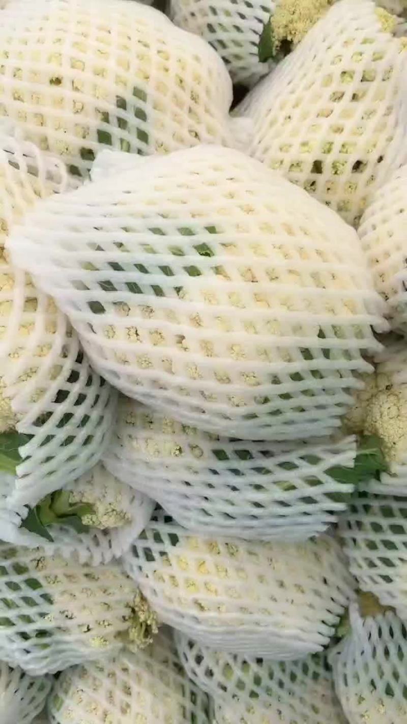 松花