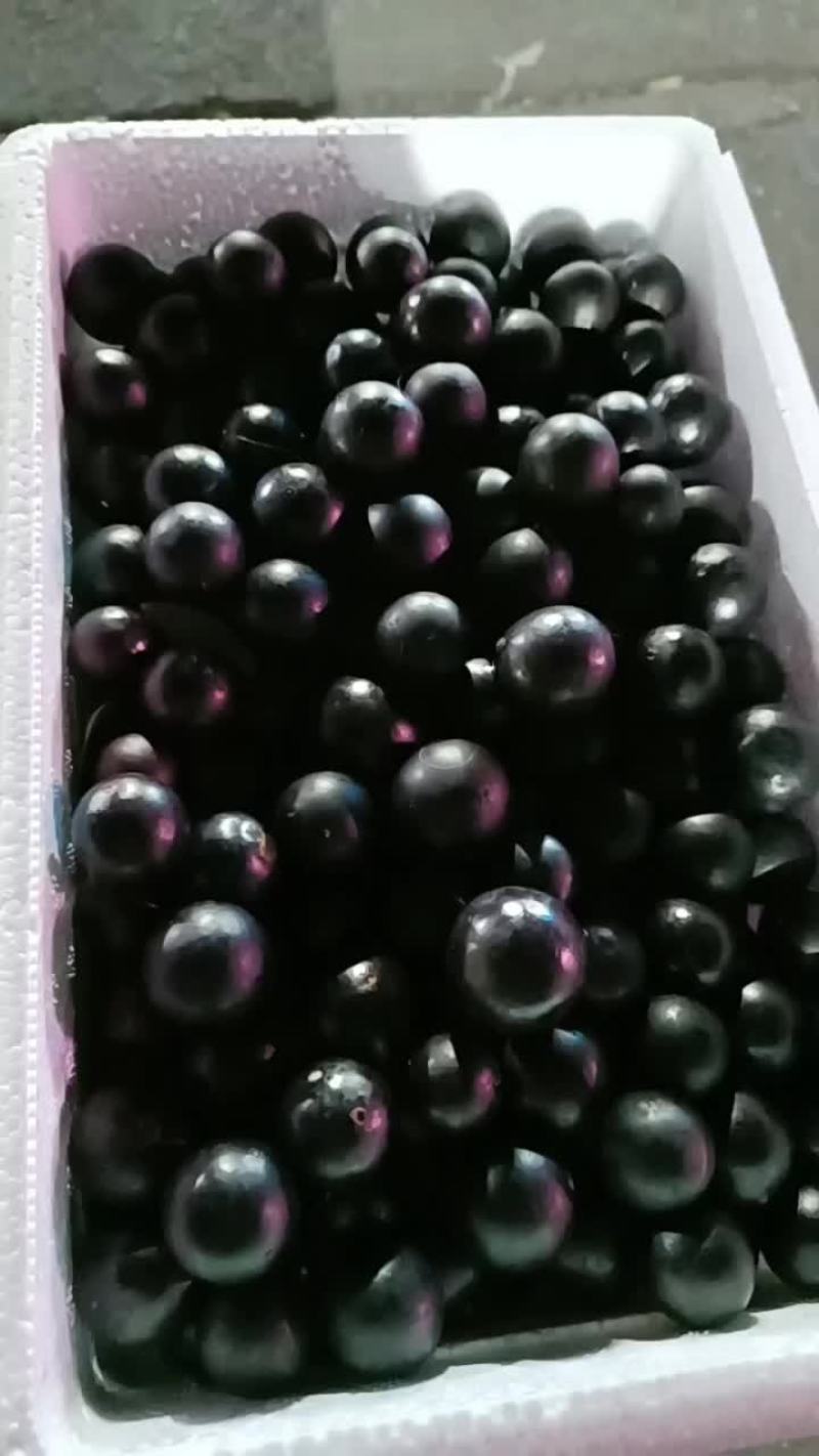 嘉宝果