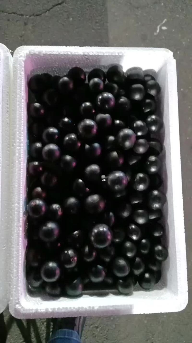 嘉宝果