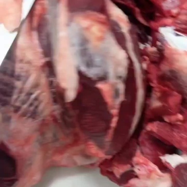 纯干无水牛肉，整头牛肉起发，质量过关厂家直发欢迎联系
