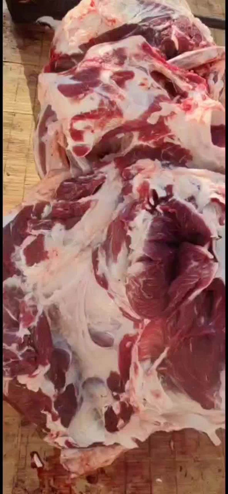 纯干无水牛肉，整头牛肉起发，质量过关厂家直发欢迎联系