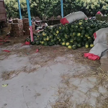 西瓜