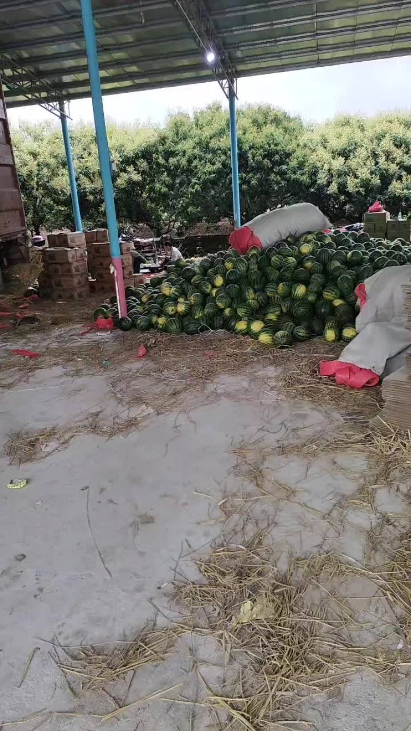 西瓜