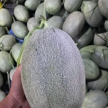 专业哈密瓜，电商，市场