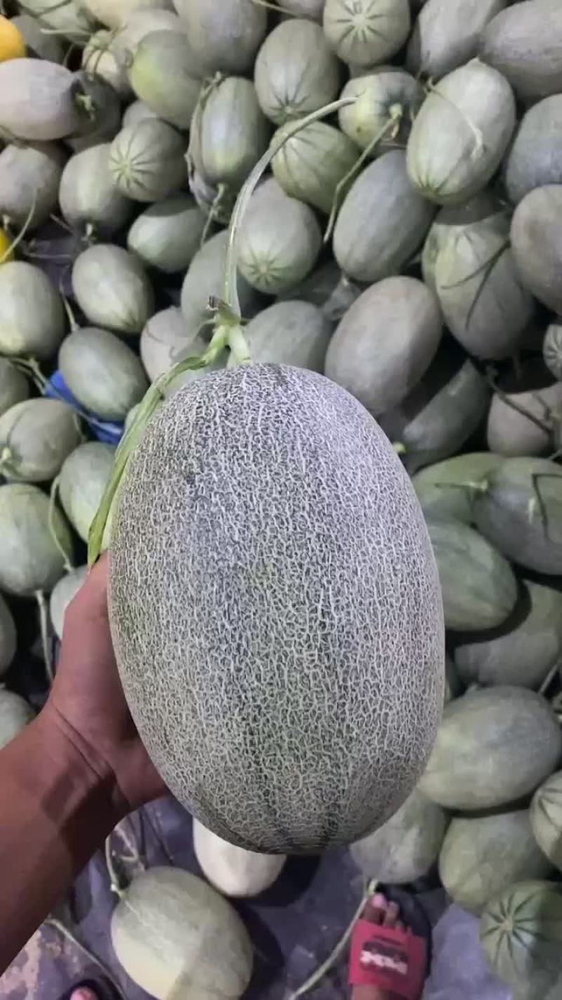 专业哈密瓜，电商，市场