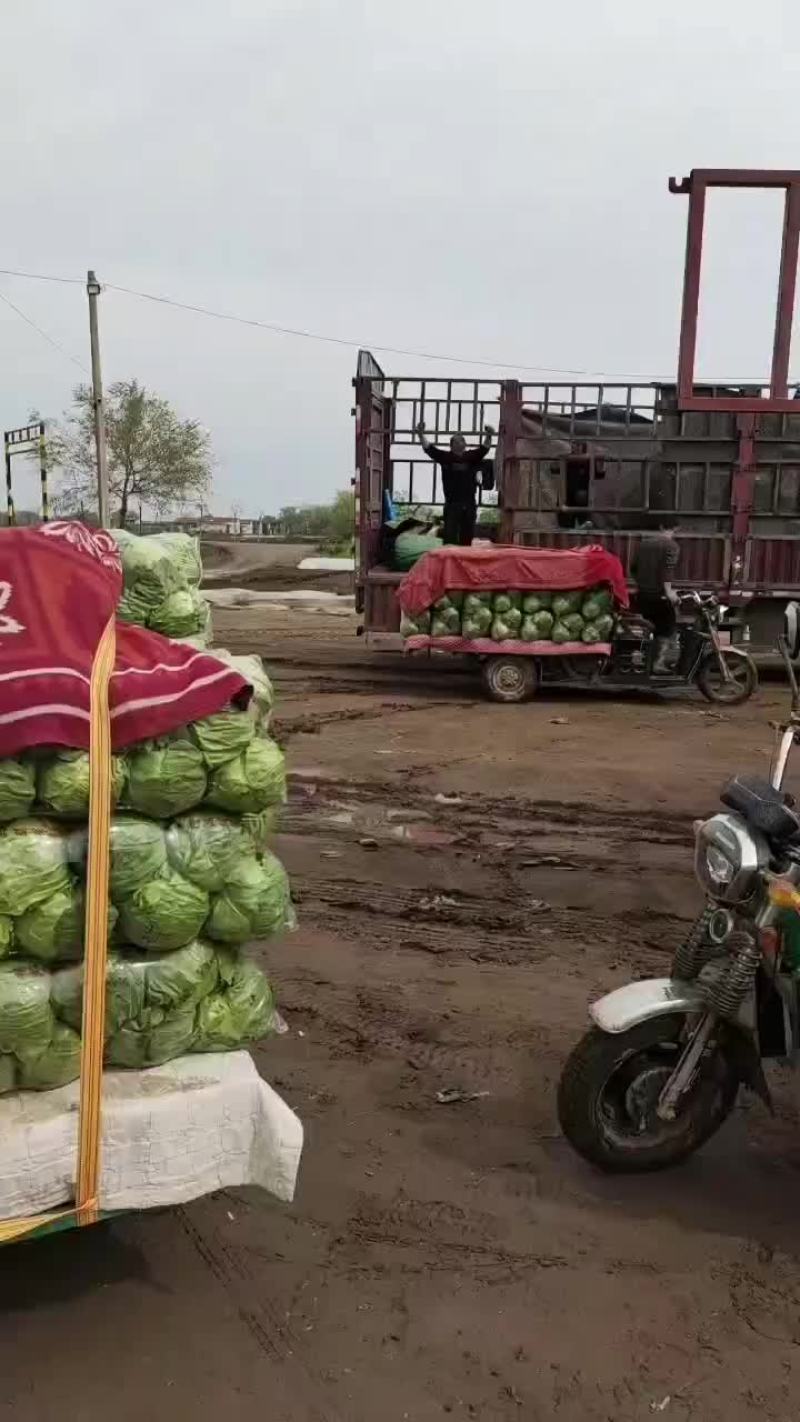 刚刚上市