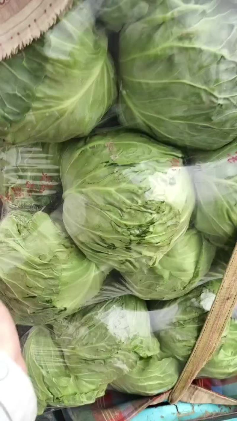 刚刚上市