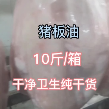 猪板油出油大干净卫生纯纯干货
