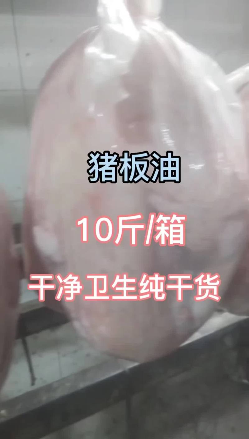 猪板油出油大干净卫生纯纯干货