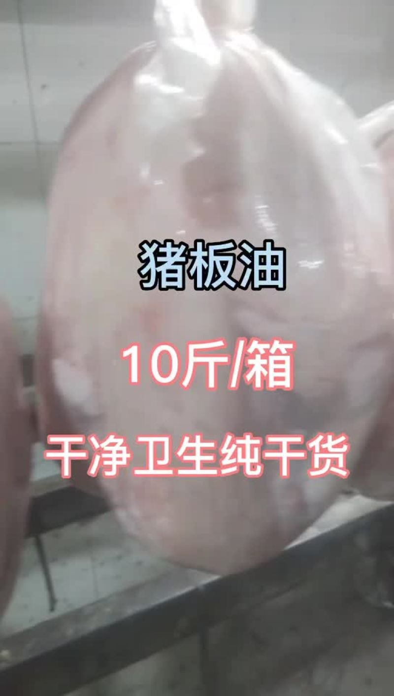 猪板油出油大干净卫生纯纯干货