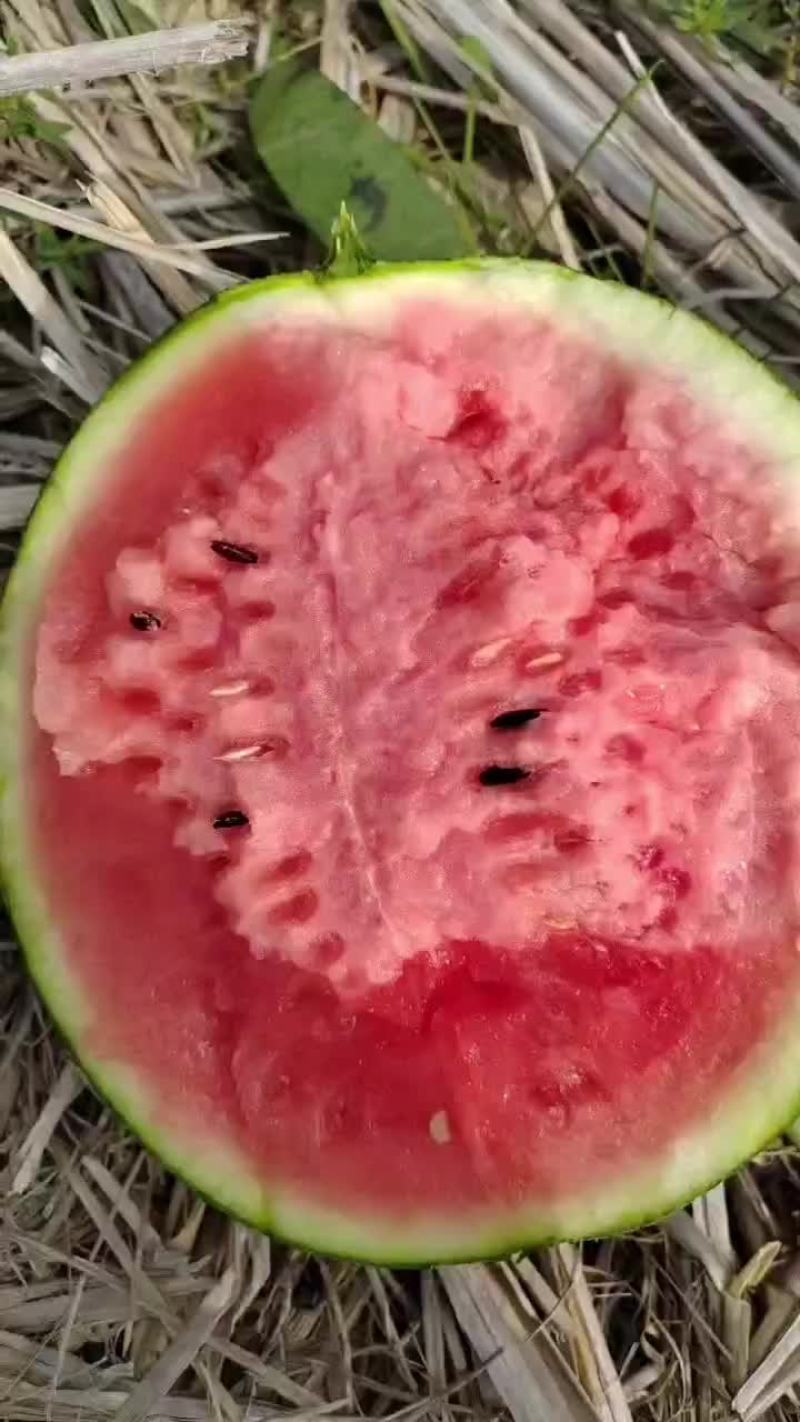 西瓜