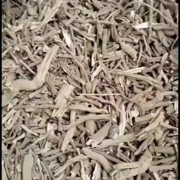 牡丹黑统药厂货十吨新货十成干