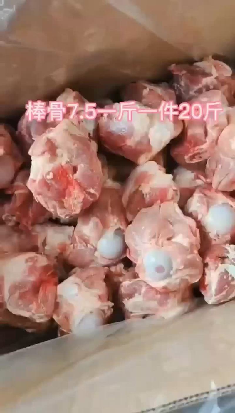 多肉拳头骨厂家直发基地直供品质保证全年供货