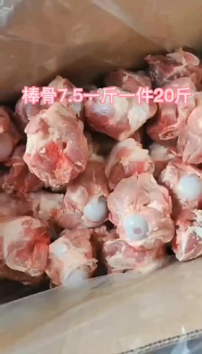 多肉拳头骨厂家直发基地直供品质保证全年供货
