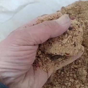 酸枣粉