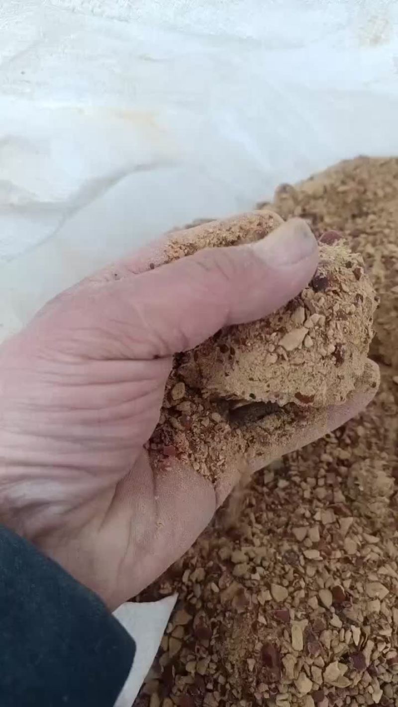 酸枣粉