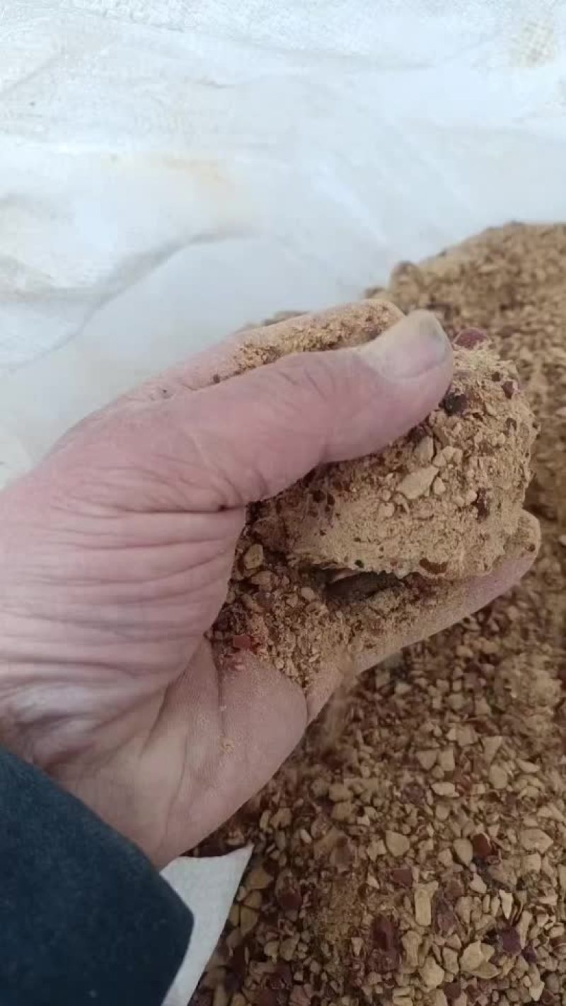 酸枣粉