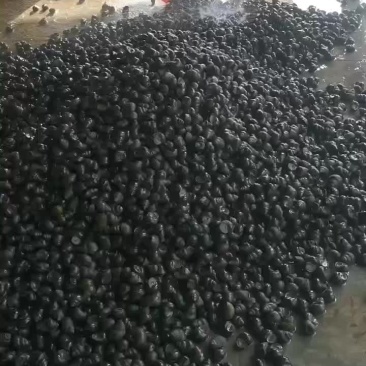 精品田螺