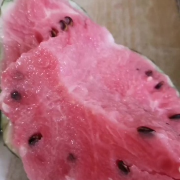 精品麒麟8424美都