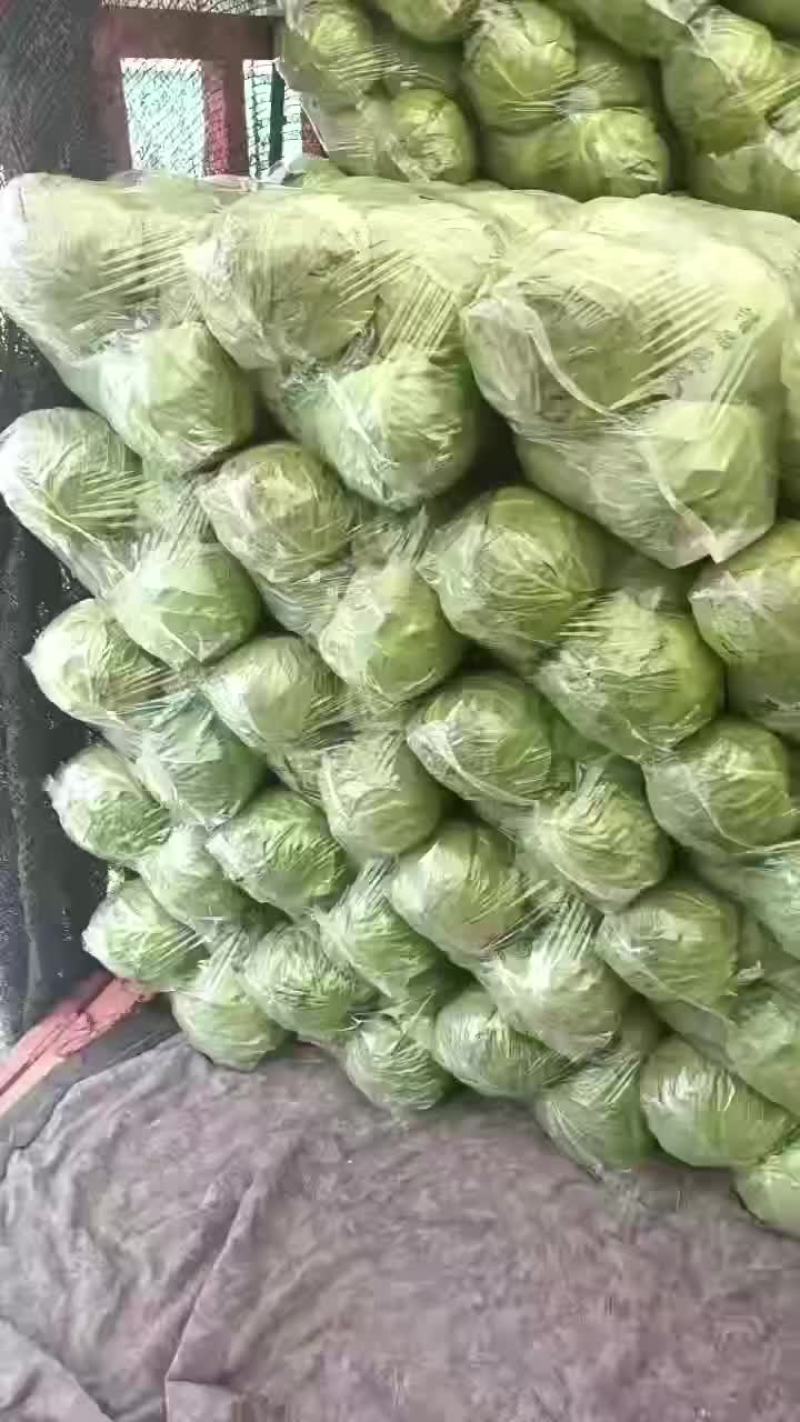 刚刚上市