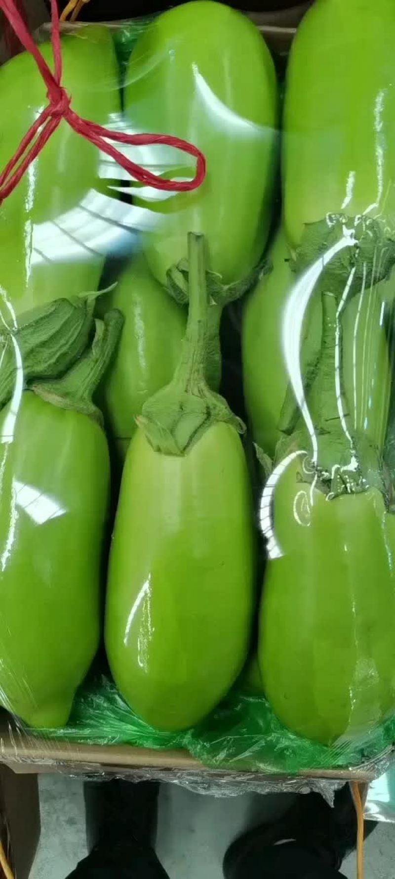 小秧茄子下来了