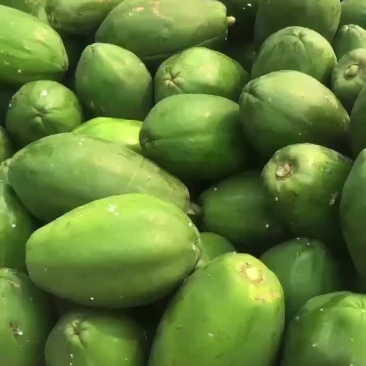 大青木瓜，大白木瓜，品种齐全，欢迎大家关注