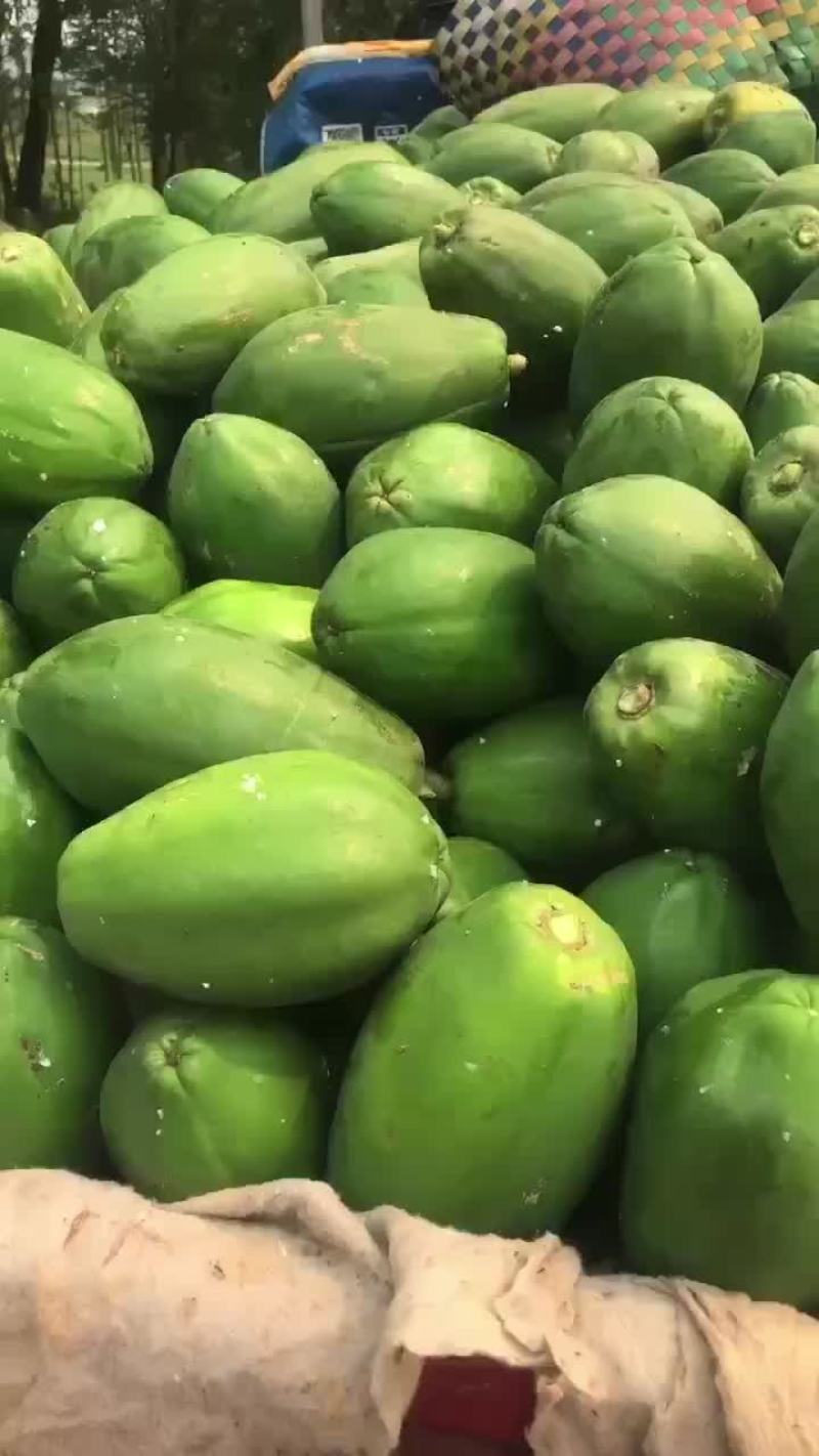 大青木瓜，大白木瓜，品种齐全，欢迎大家关注